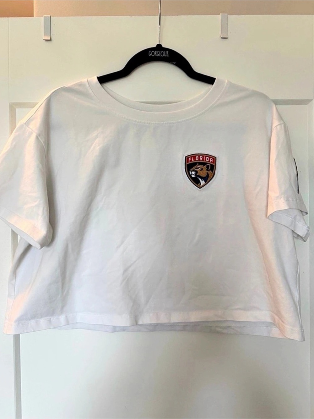 Florida Panthers Pro Standard T-Shirt Cropped Tee